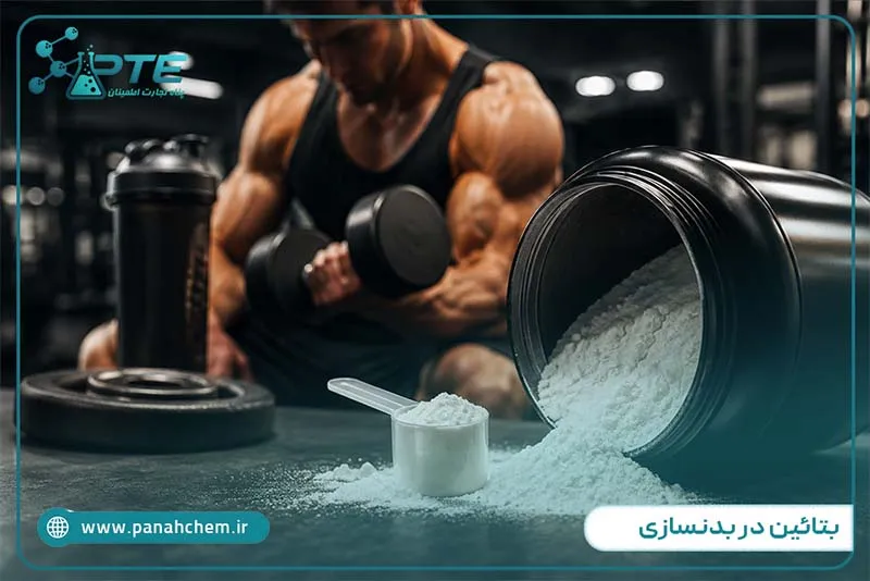 مکمل بتائین در بدنسازی