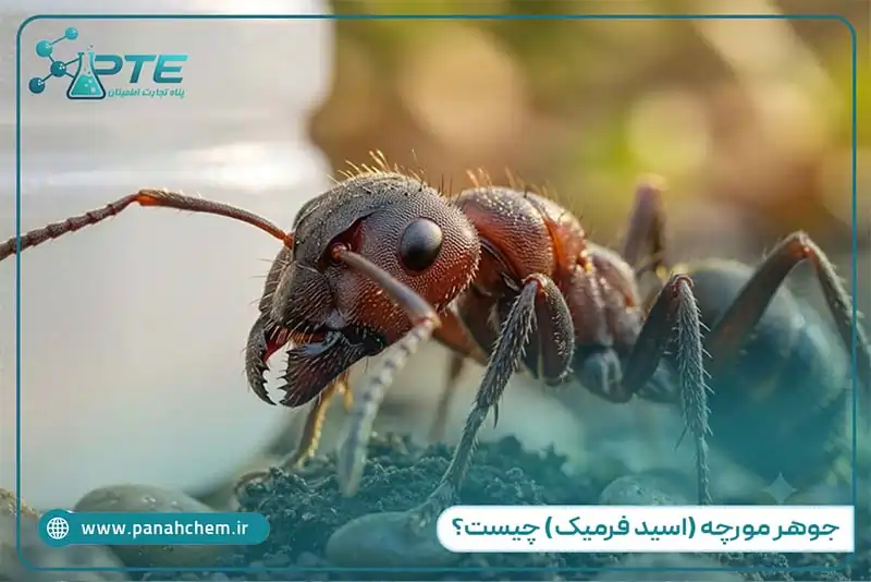 جوهر مورچه (اسید فرمیک) چیست؟