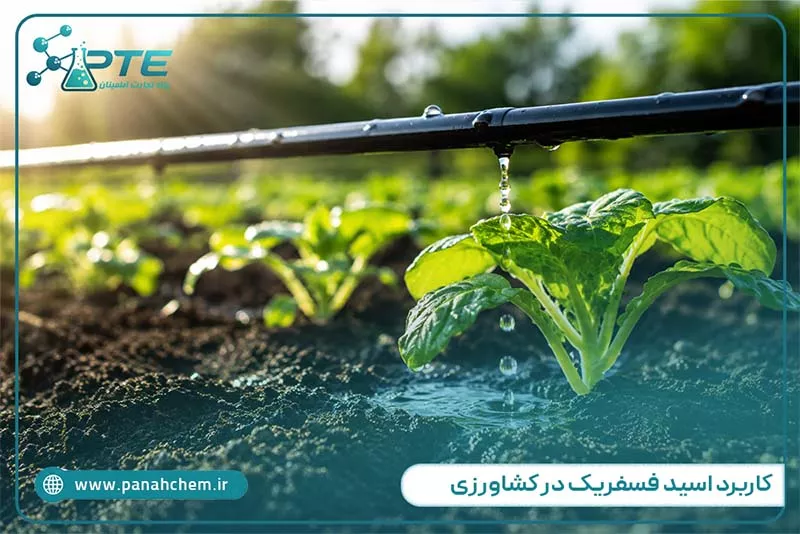 کاربرد اسید فسفریک در کشاورزی